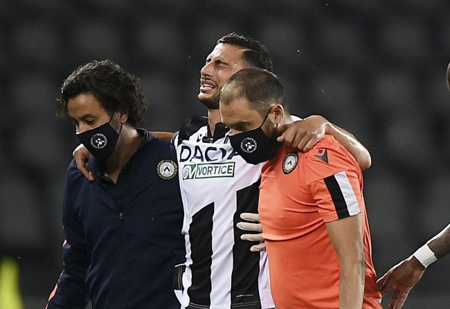 他的这两粒 他的这两粒