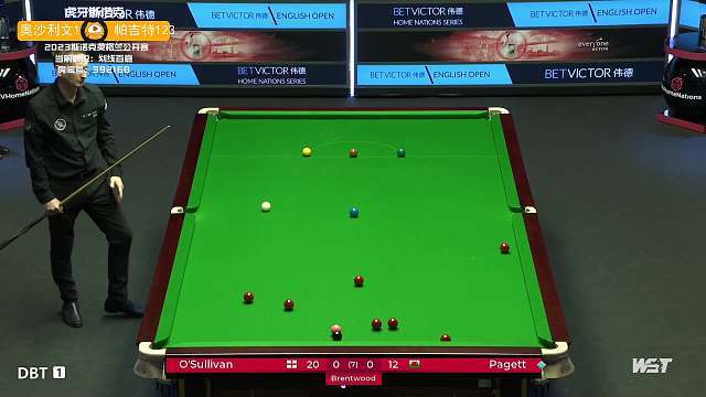 他们理想中 他们理想中